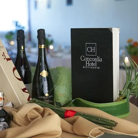 Concordia Hotell
